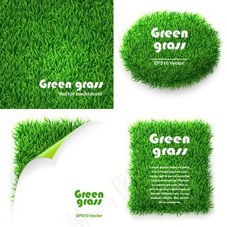 绿色草坪背景