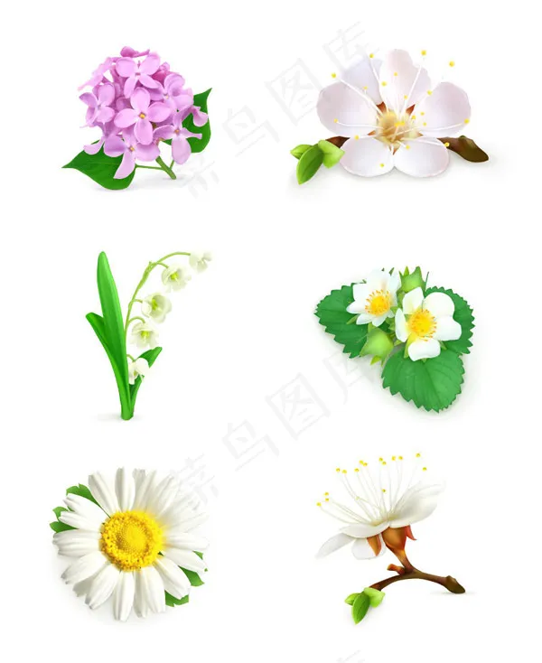 花卉设计矢量ai矢量模版下载