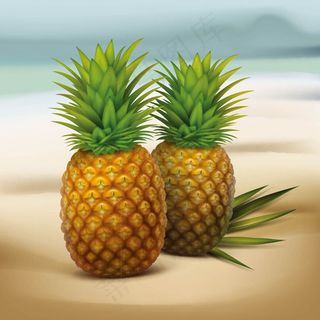 两个菠萝矢量