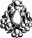 花朵鲜花_1087eps,ai矢量模版下载