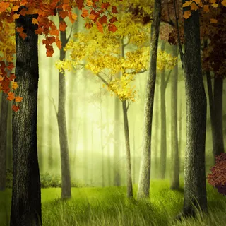 唯美树林背景 唯美树林背景