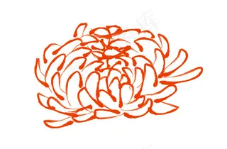 矢量菊花花纹