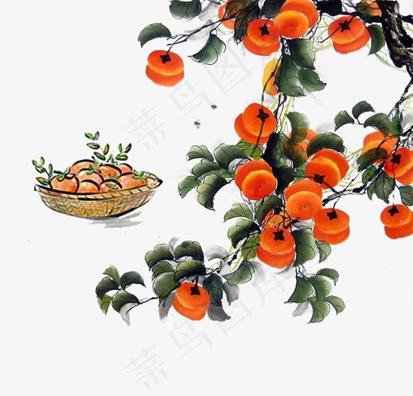 水彩秋季柿子