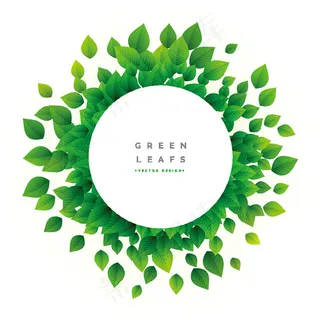 圆形绿叶边框背景