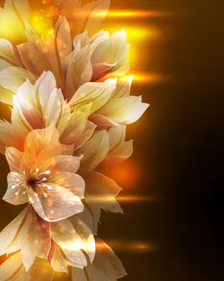 炫彩花纹背景04,背景元素