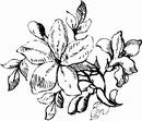 花朵鲜花_1085eps,ai矢量模版下载