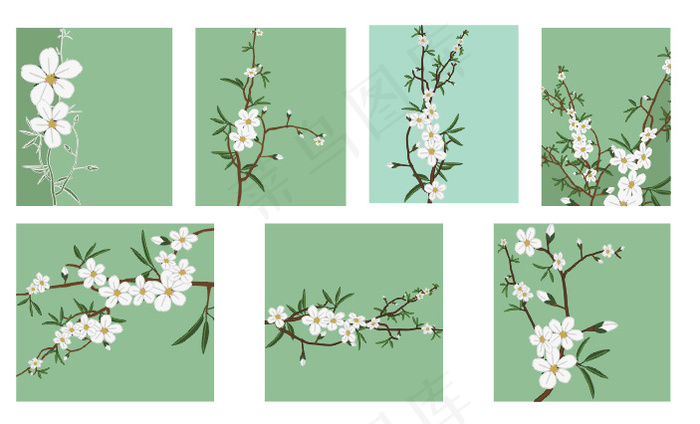 矢量白色小花