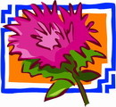 花朵鲜花_963eps,ai矢量模版下载