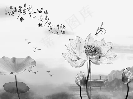 中国风水墨荷花