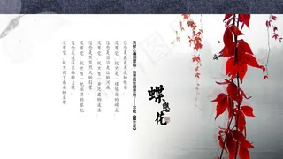 中国风苏轼蝶恋花