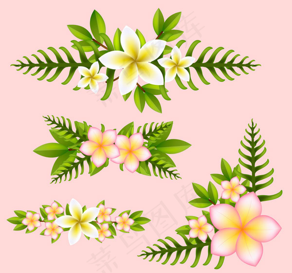 棕榈树叶花边ai矢量模版下载
