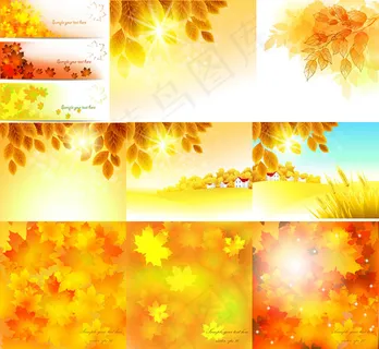 金黄树叶秋天 金黄树叶秋天