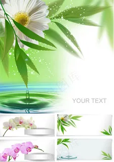 清爽花朵竹叶 清爽花朵竹叶
