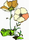 花朵鲜花_195eps,ai矢量模版下载