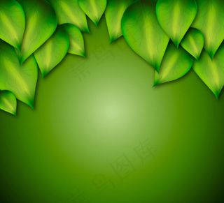 叶子装饰背景矢量