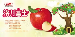 洛川富士水果海报