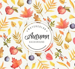 叶子和水果背景