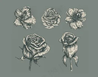 漂亮的花朵矢量