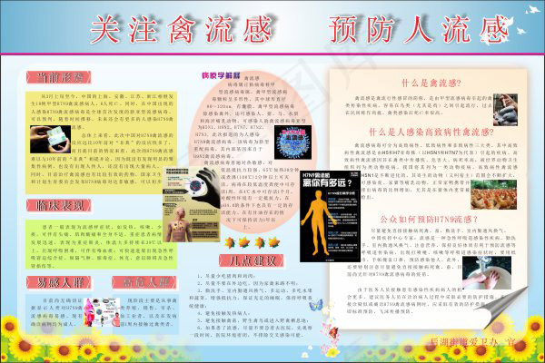 预防禽流感展板cdr矢量模版下载