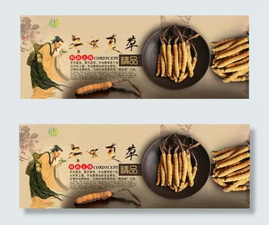 淘宝冬虫夏草海报