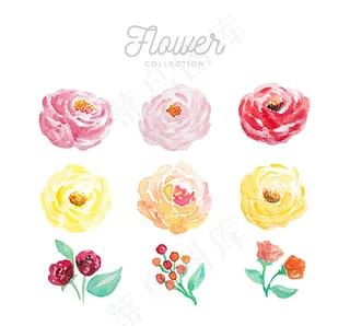 9款水彩绘花朵
