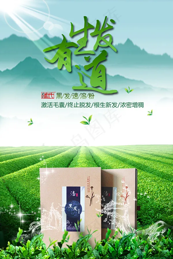 生发用品海报psd模版下载