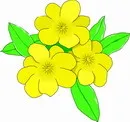 花朵鲜花_435eps,ai矢量模版下载