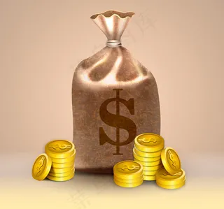 精美钱袋和金币