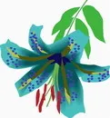 花朵鲜花_226eps,ai矢量模版下载