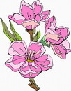 花朵鲜花_221eps,ai矢量模版下载