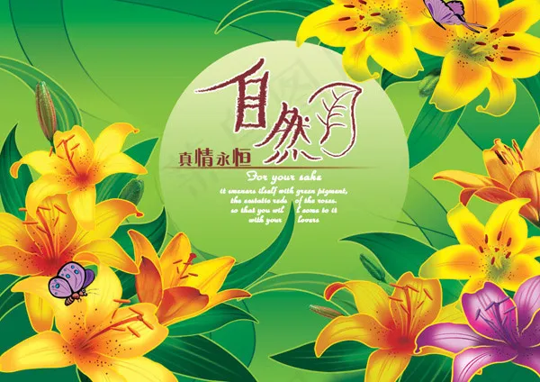 梦幻百合花PSD(4016X2835(DPI:300))psd模版下载