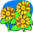 花朵鲜花_993eps,ai矢量模版下载