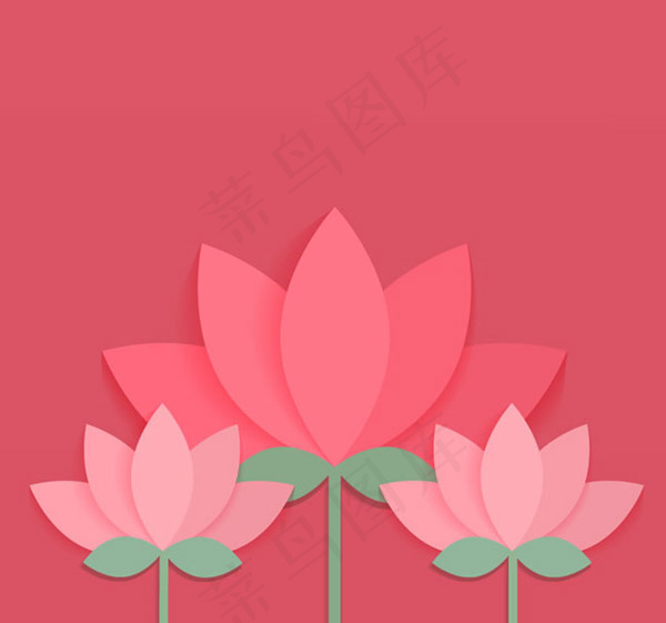 粉色荷花设计