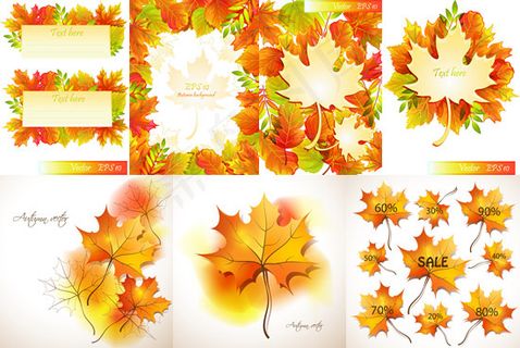 秋天叶子设计