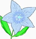 花朵鲜花_361eps,ai矢量模版下载