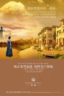 传海房地产海报8