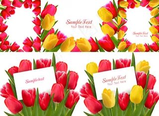 红黄花朵郁金香