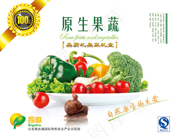 蔬菜水果包装(5315X4134(DPI:300))psd模版下载