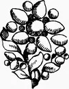 花朵鲜花_1084eps,ai矢量模版下载