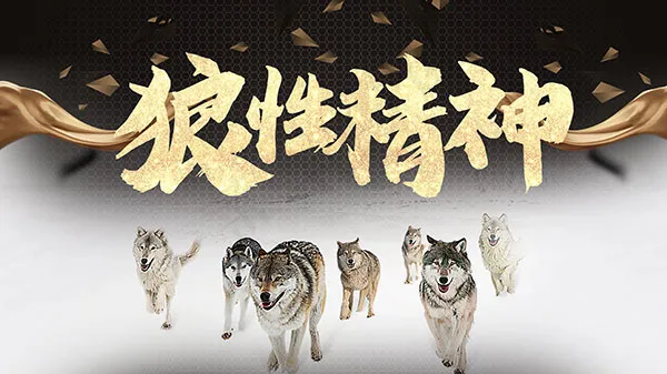 狼性精神企业文化(6299X3543(DPI:200))psd模版下载
