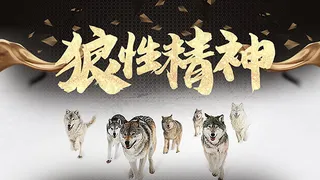 狼性精神企业文化