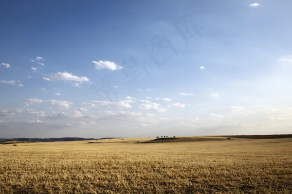 枯黄的草原