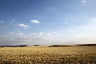 枯黄的草原