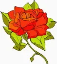 花朵鲜花_325eps,ai矢量模版下载