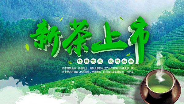 新茶上市特价优惠