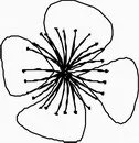 花朵鲜花_1170eps,ai矢量模版下载