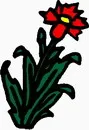 花朵鲜花_558eps,ai矢量模版下载