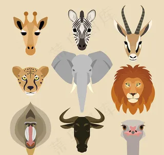 卡通野生动物头像