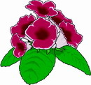 花朵鲜花_382eps,ai矢量模版下载