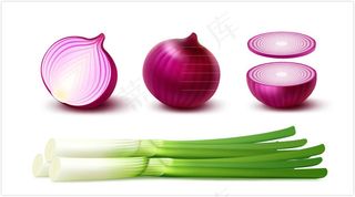 洋葱和大葱矢量